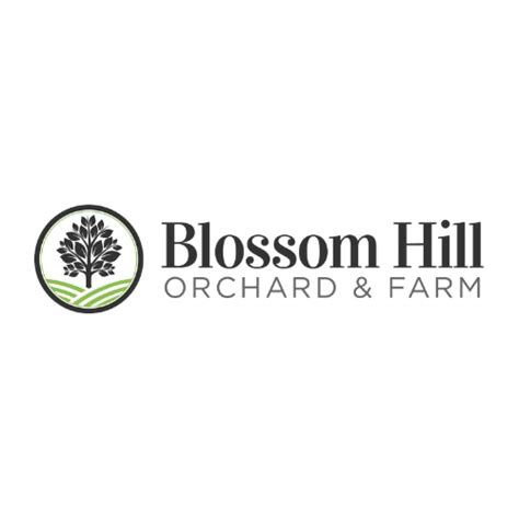 apple orchard preston mn|blossom hill apples mn.